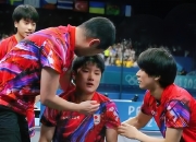 开云APP-瑞典乒乓球队血洗比利时乒乓球队，张本智和统治全场的简单介绍