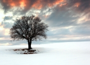 开云官网-赛道与球场，当F1街道赛的战术智慧照亮篮球场