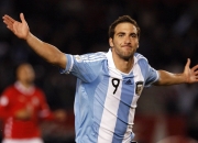 开云官方app入口-武切维奇完美演出，骑士铁蹄踏碎活塞