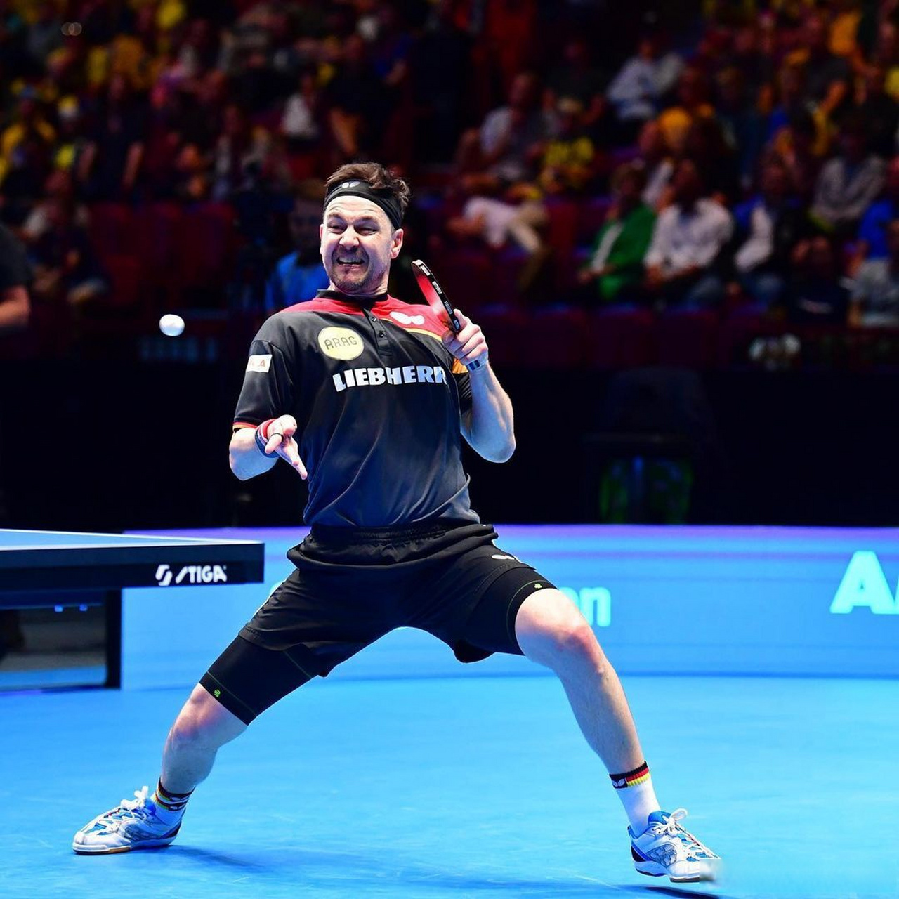 波兰乒乓球队绝杀德国乒乓球队，波尔统治全场的简单介绍