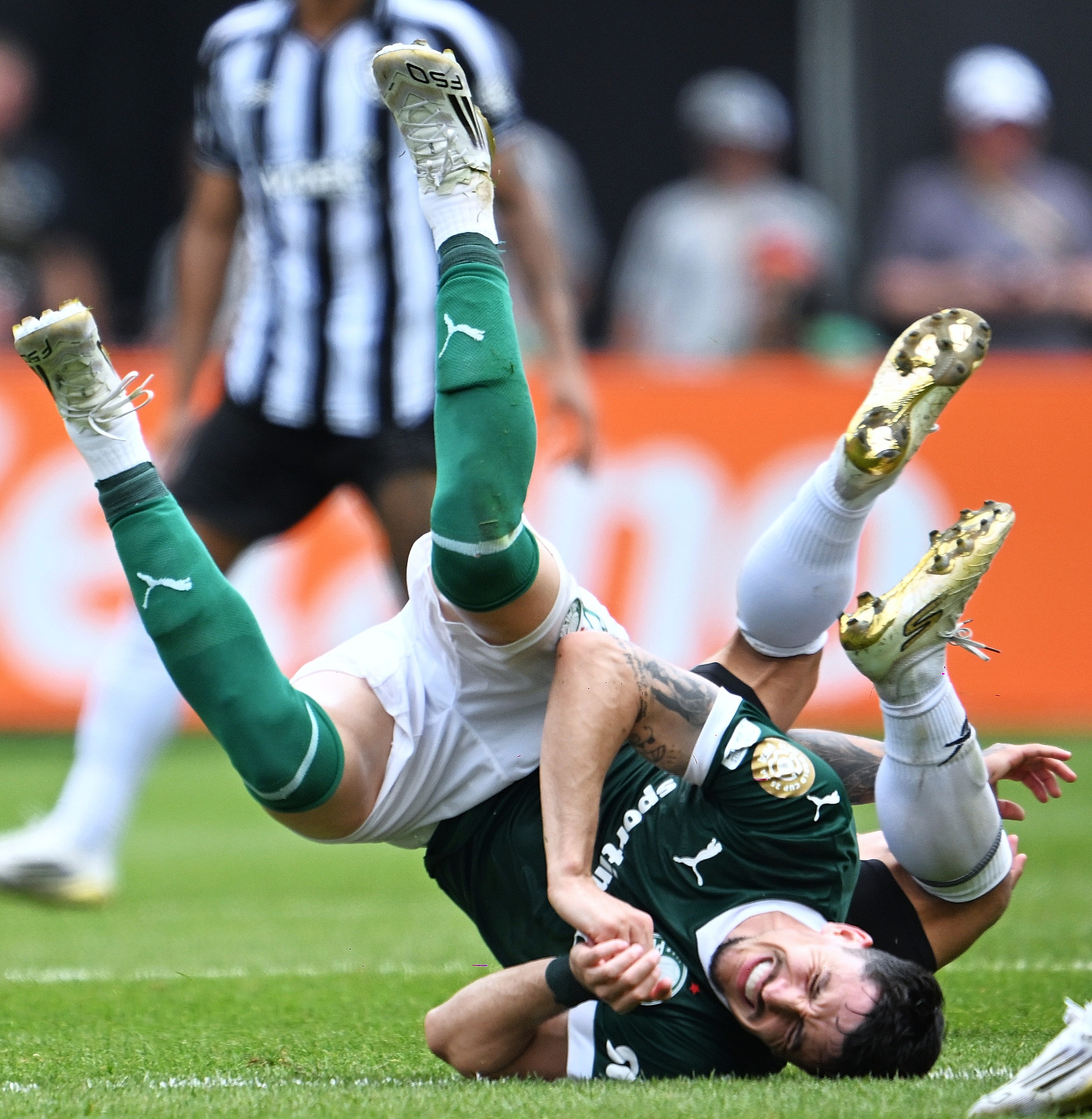 阿根廷完胜塞内加尔，哈弗茨状态火热的简单介绍