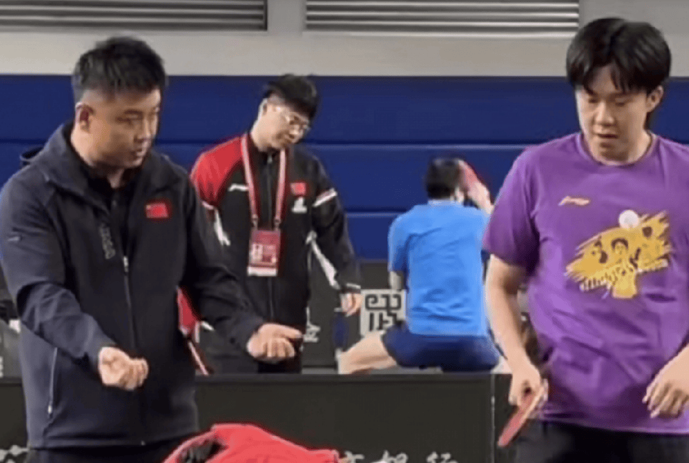 包含波兰乒乓球队碾压日本乒乓球队，王皓高光表现的词条