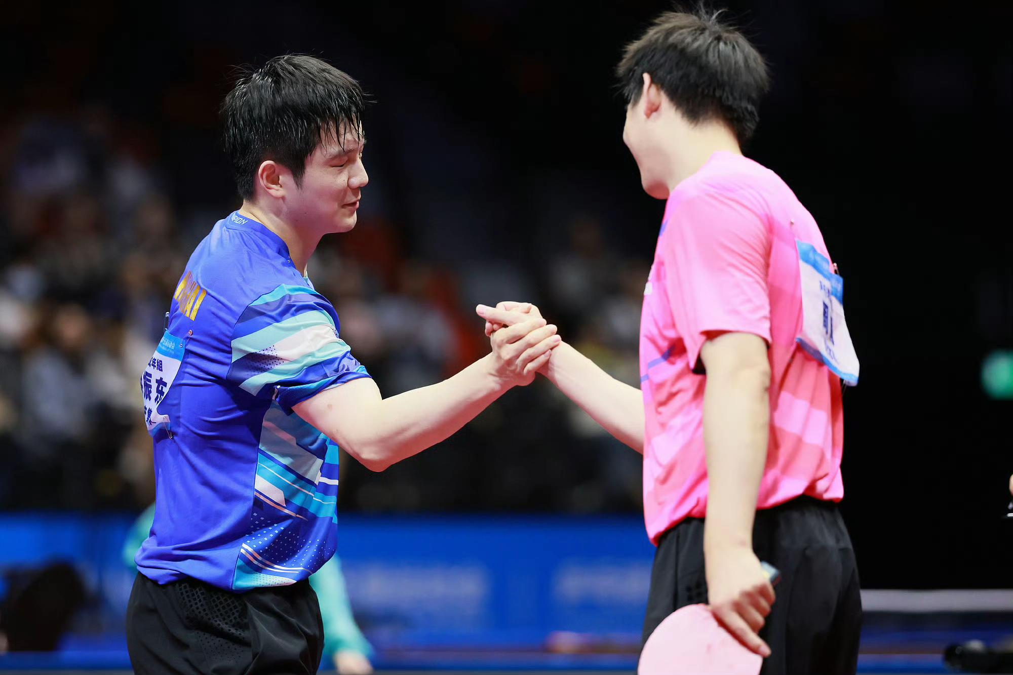 中国乒乓球队轻取奥地利乒乓球队，樊振东统治全场的简单介绍