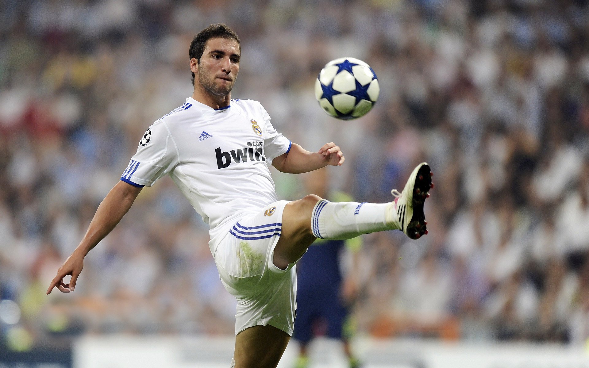 绿茵与球台的双重奏，韩国鏖战葡萄牙，张继科刷新纪录的竞技启示